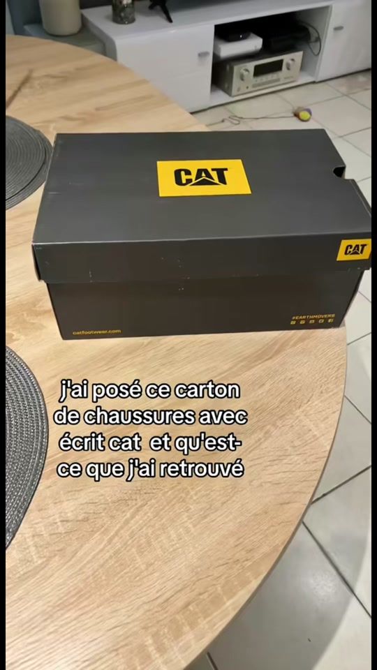 TikTok video thumbnail by karlouchat