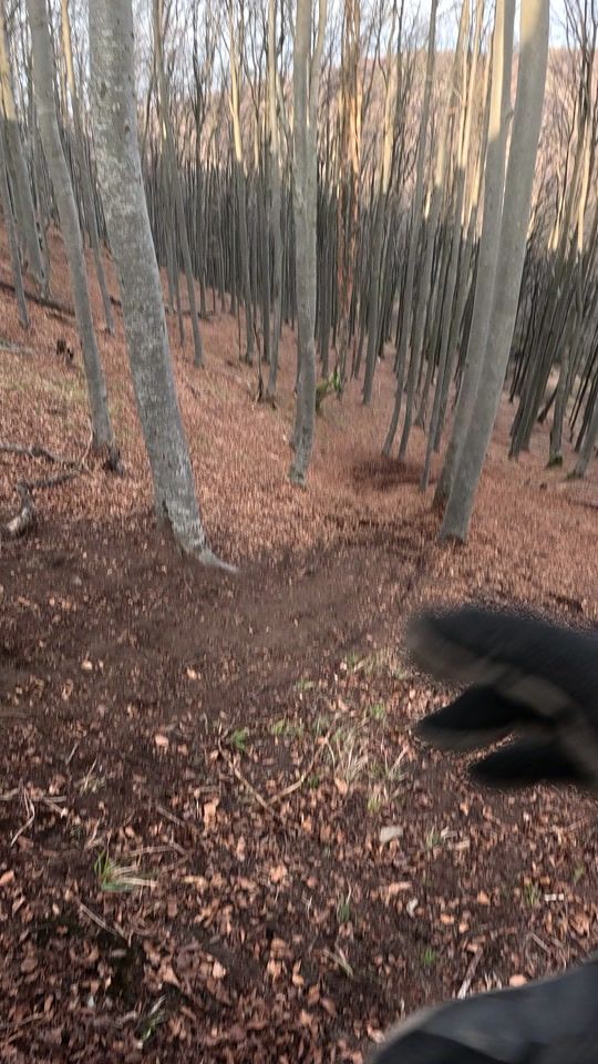 TikTok video thumbnail by sirbuionut0