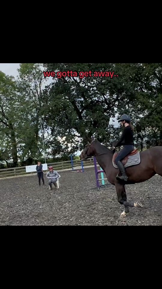 TikTok video thumbnail by amelia_equ