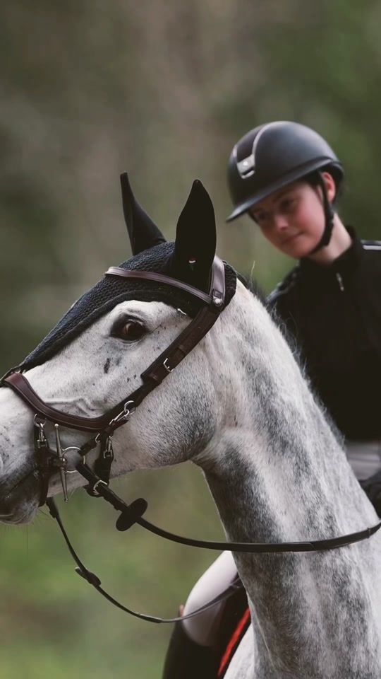 TikTok video thumbnail by showjumping_jw