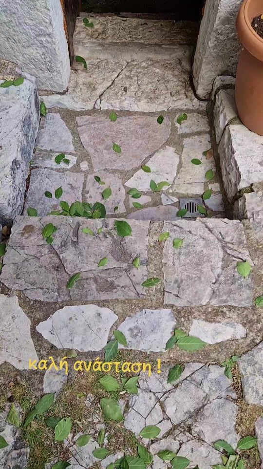 TikTok video thumbnail by theano_genx