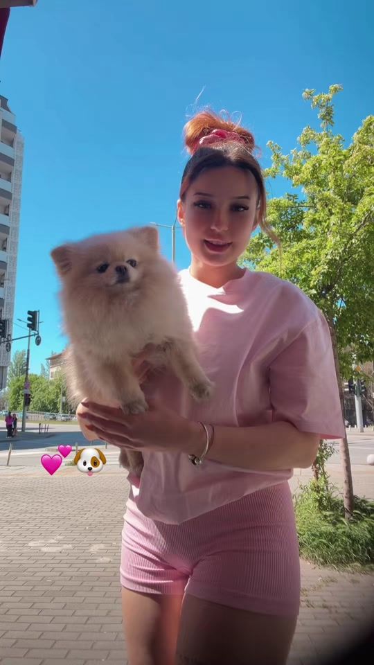 TikTok video thumbnail by petq_sassa