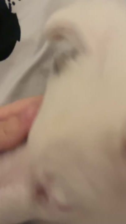 TikTok video thumbnail by adelka_0511