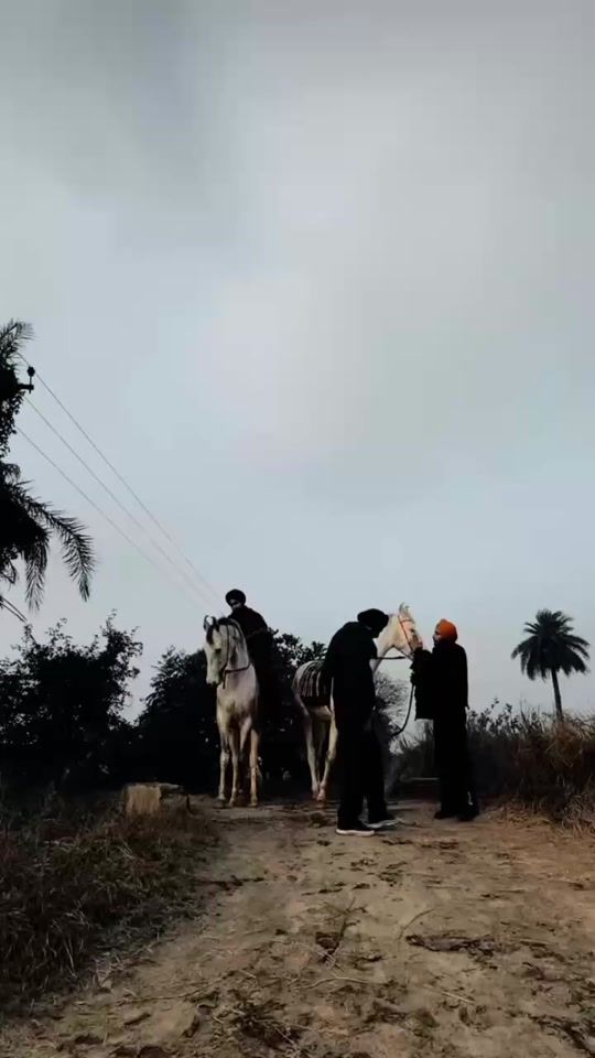TikTok video thumbnail by deviljutt.5