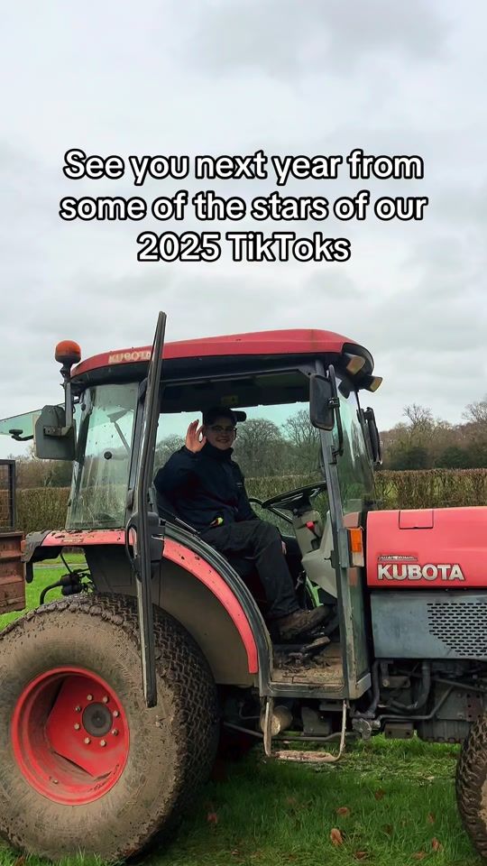 TikTok video thumbnail by godstonefarm