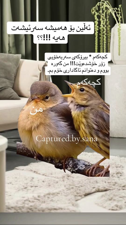 TikTok video thumbnail by captured.by.sana