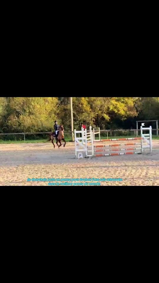 TikTok video thumbnail by lilyrose.carpy