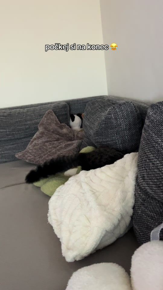 TikTok video thumbnail by aneny_