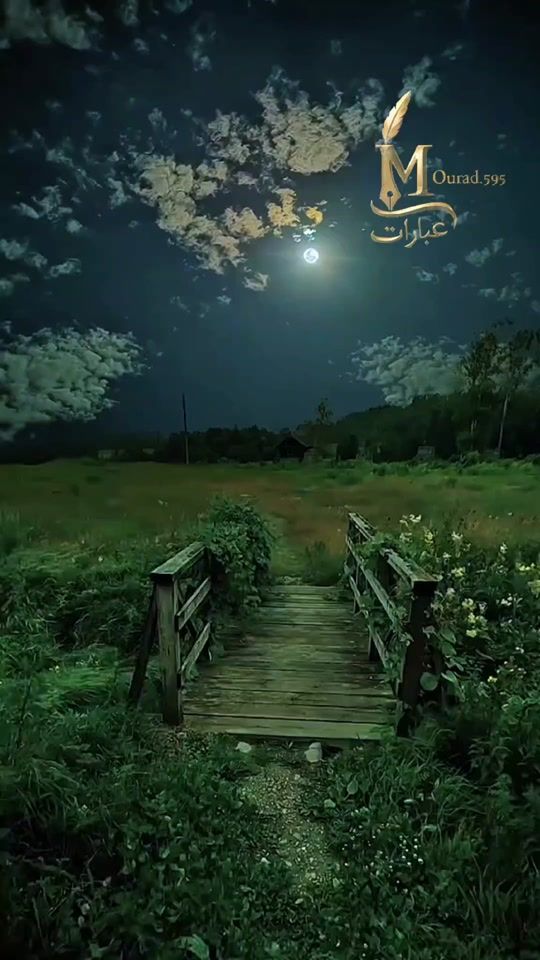 TikTok video thumbnail by mourad.595