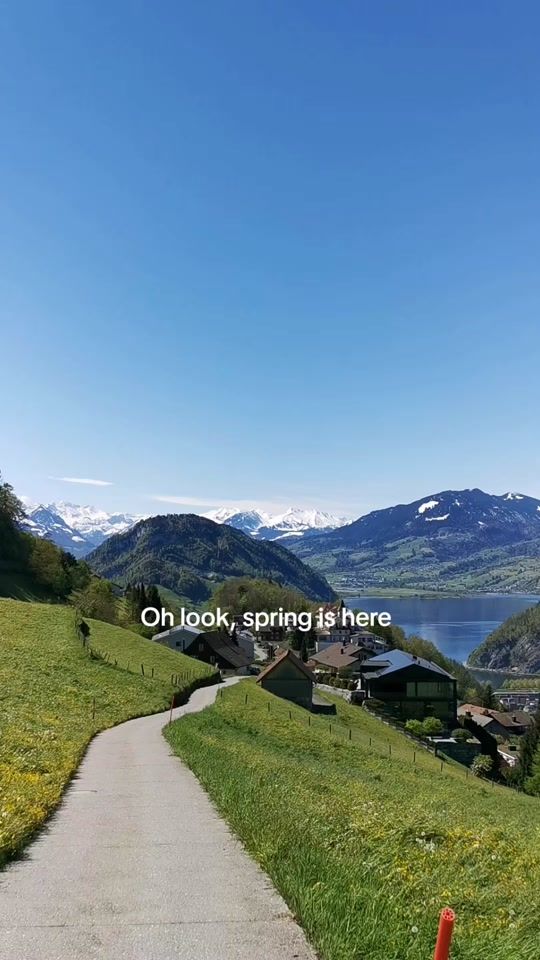 TikTok video thumbnail by mybeautifulswiss