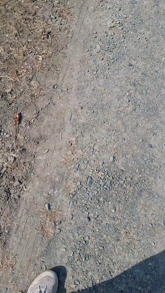 TikTok video thumbnail by carolan_agri