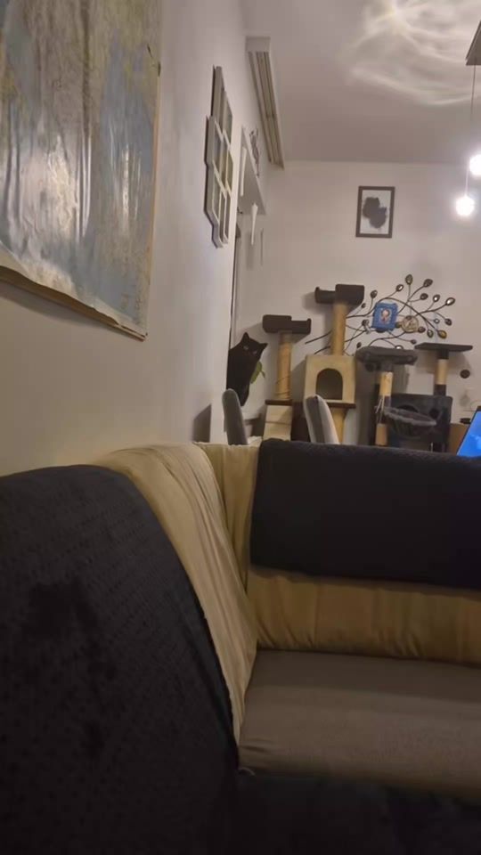 TikTok video thumbnail by janulienka83