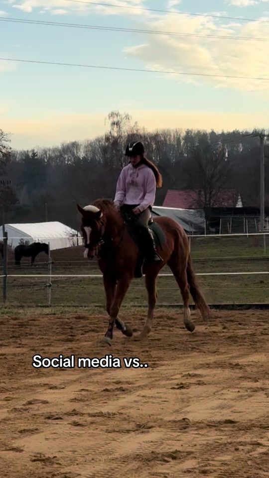 TikTok video thumbnail by three_crazy_ponies