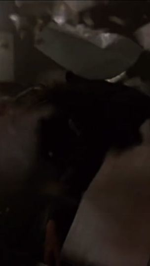 TikTok video thumbnail by 1peu2music.7