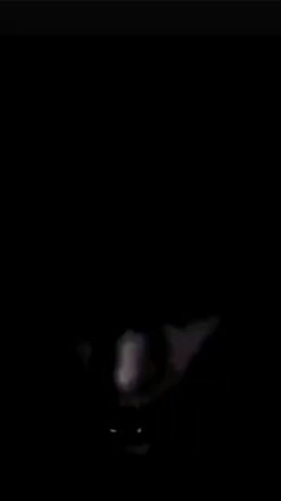 TikTok video thumbnail by spazm_seraphim