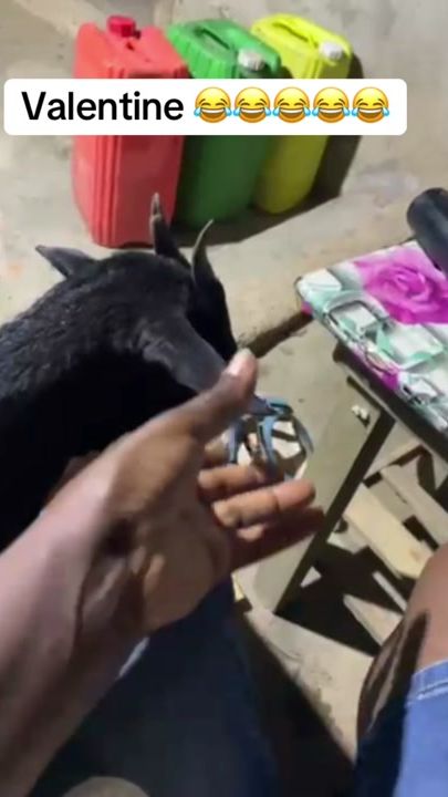 TikTok video thumbnail by o_calm2.0