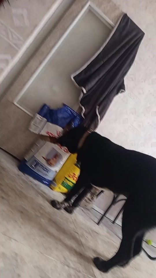 TikTok video thumbnail by riga2023