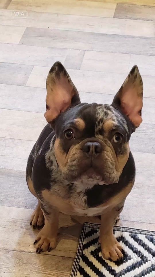 TikTok video thumbnail by katife27