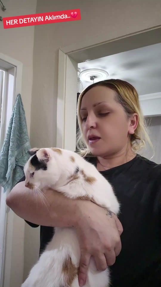 TikTok video thumbnail by copculerkralicesi52figen