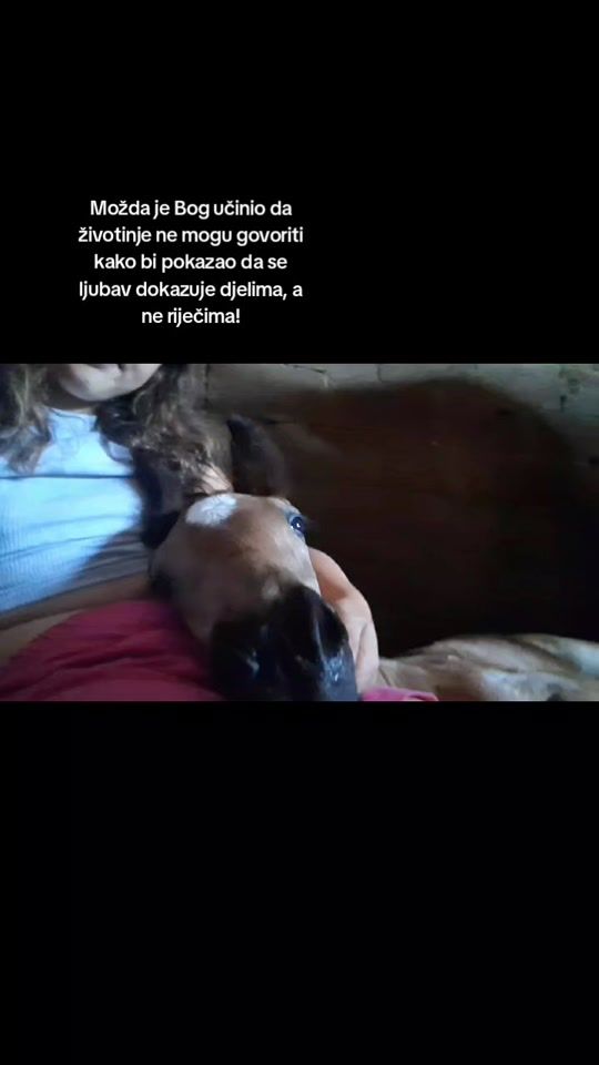 TikTok video thumbnail by josipalaaa