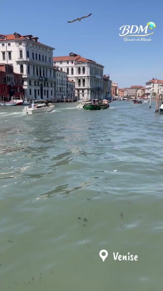 TikTok video thumbnail by beautes_du_monde