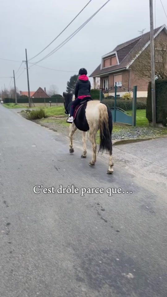 TikTok video thumbnail by izmir.la.biscotte