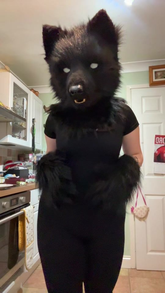 TikTok video thumbnail by stinq.mutt_