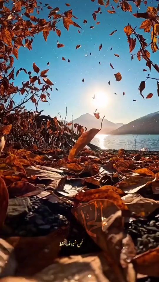 TikTok video thumbnail by azzeddine.abidat7