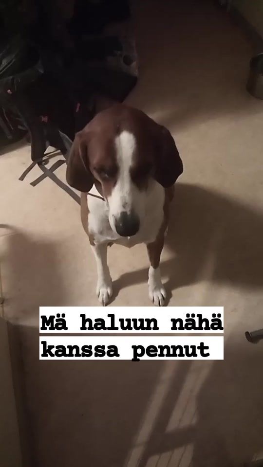 TikTok video thumbnail by abcsami77