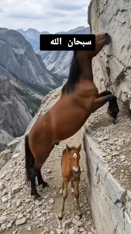 TikTok video thumbnail by moussa12121er