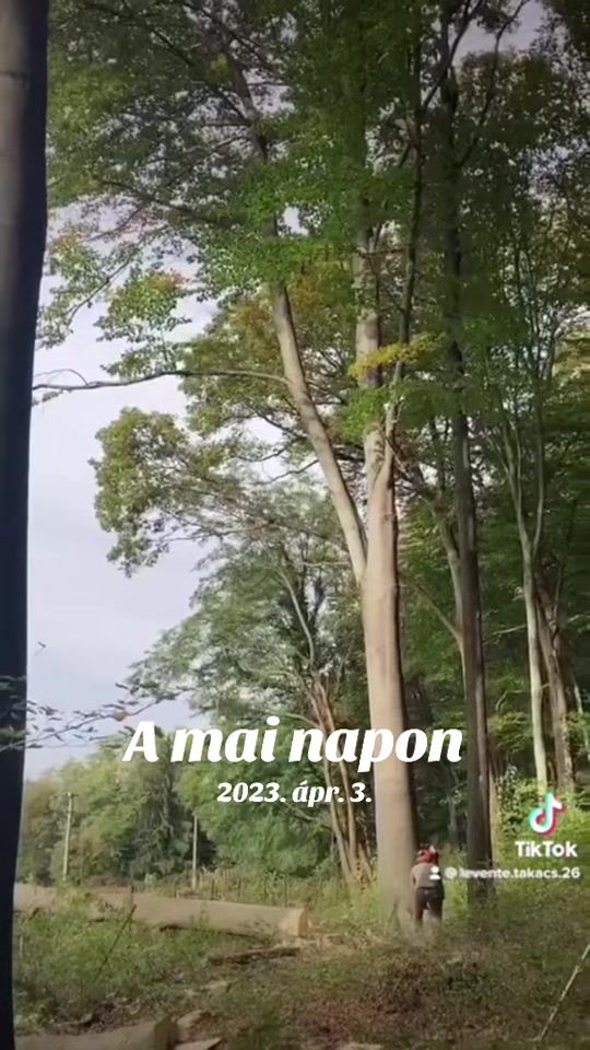TikTok video thumbnail by d.i.l.i_8