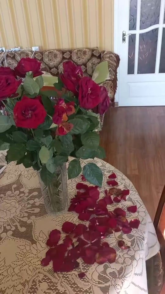 TikTok video thumbnail by mani_blog