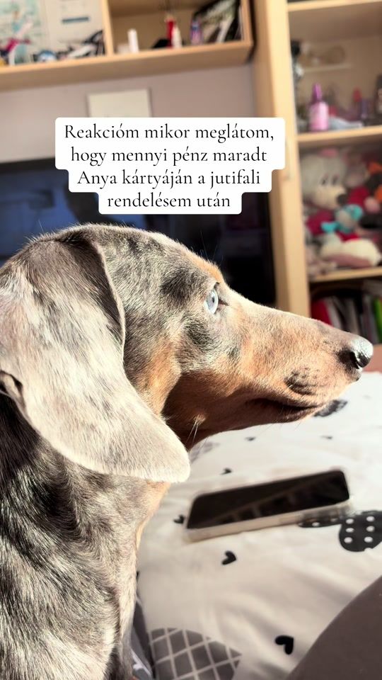 TikTok video thumbnail by mannathedoxie