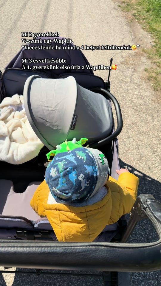 TikTok video thumbnail by biankamom