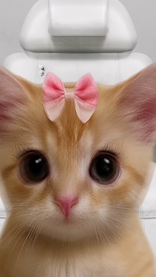 TikTok video thumbnail by financekisa