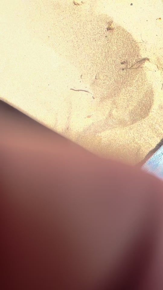 TikTok video thumbnail by aaronseries