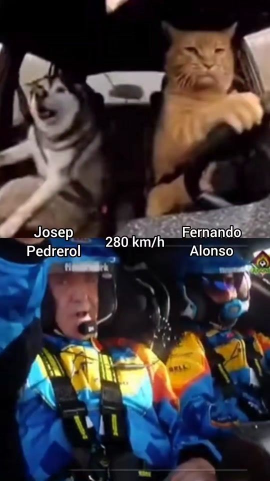TikTok video thumbnail by faperdj