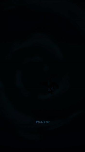 TikTok video thumbnail by pilgrim.amp
