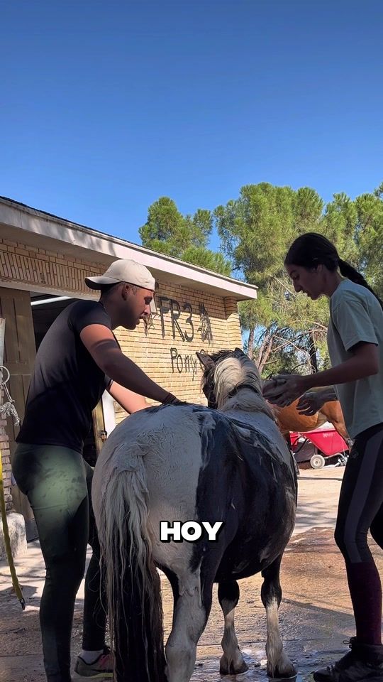 TikTok video thumbnail by delvalle.73_