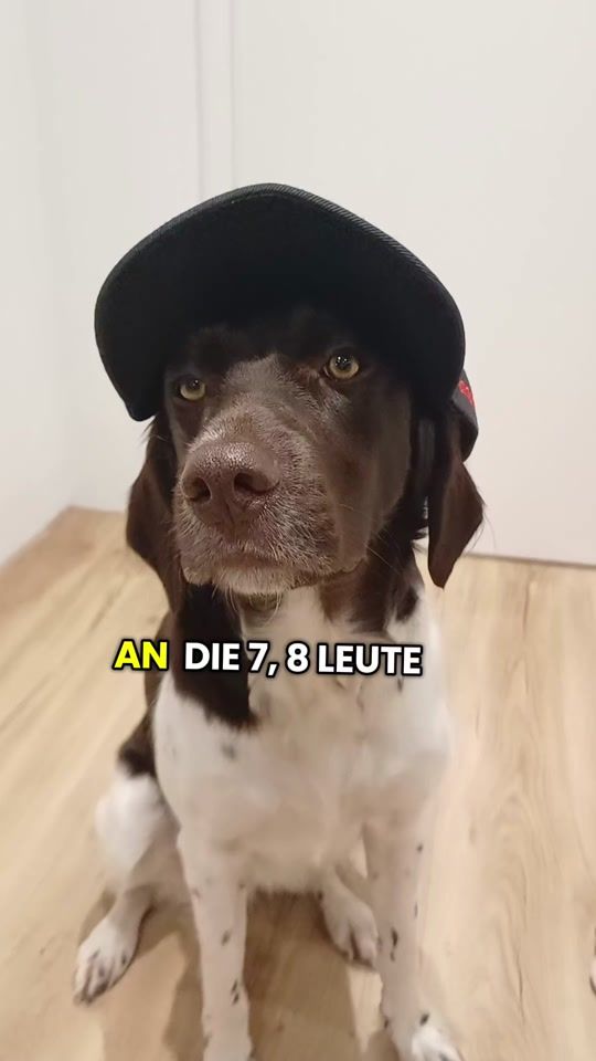 TikTok video thumbnail by andrea.hosi