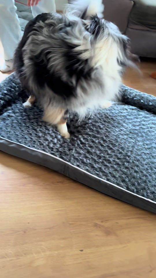 TikTok video thumbnail by fintop6