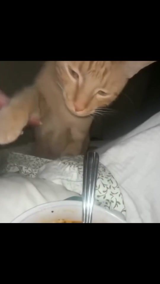 TikTok video thumbnail by plswyslijstopy