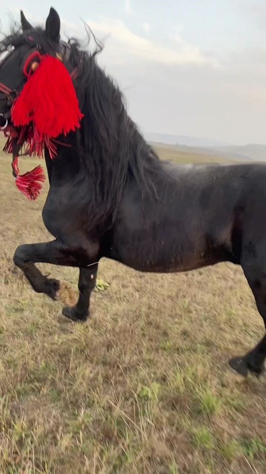 TikTok video thumbnail by ionutv.75
