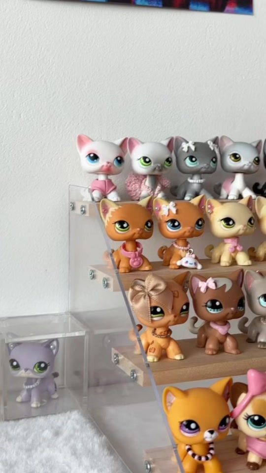 TikTok video thumbnail by vaniapetshops