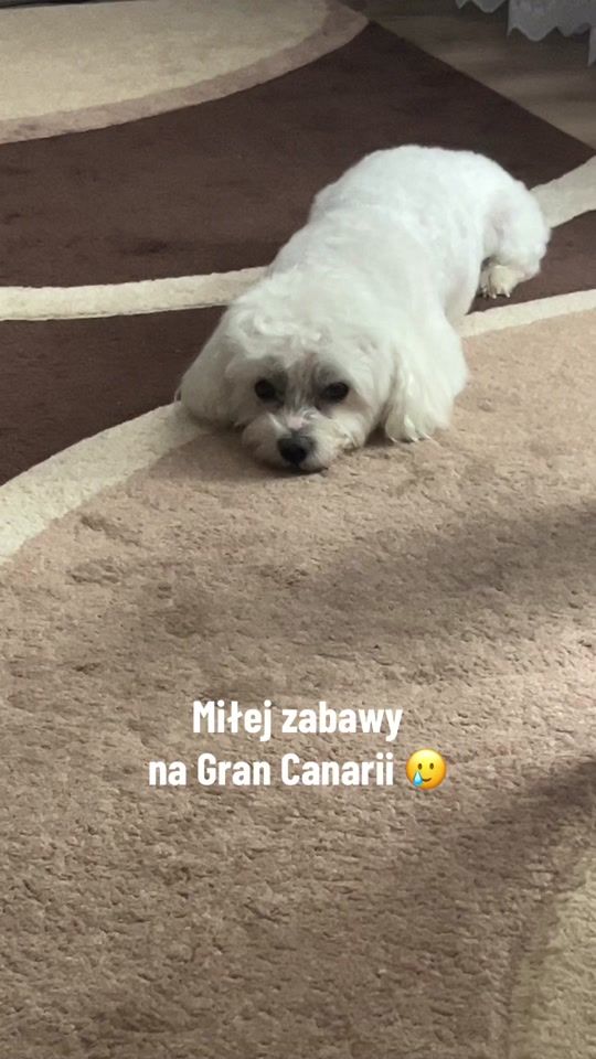 TikTok video thumbnail by natalv.m