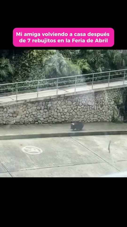 TikTok video thumbnail by cabronazi