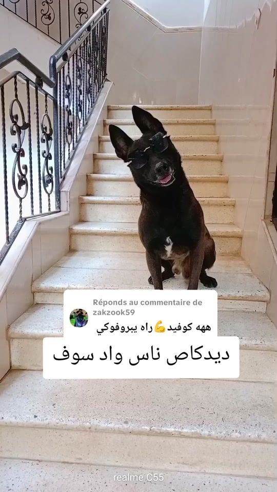 TikTok video thumbnail by farouk_couvid