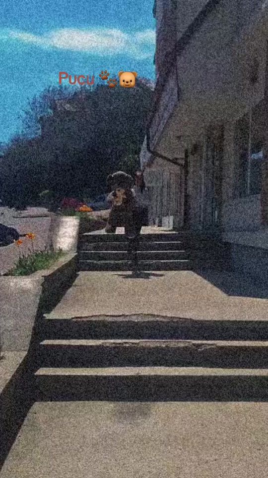 TikTok video thumbnail by albastrica_1