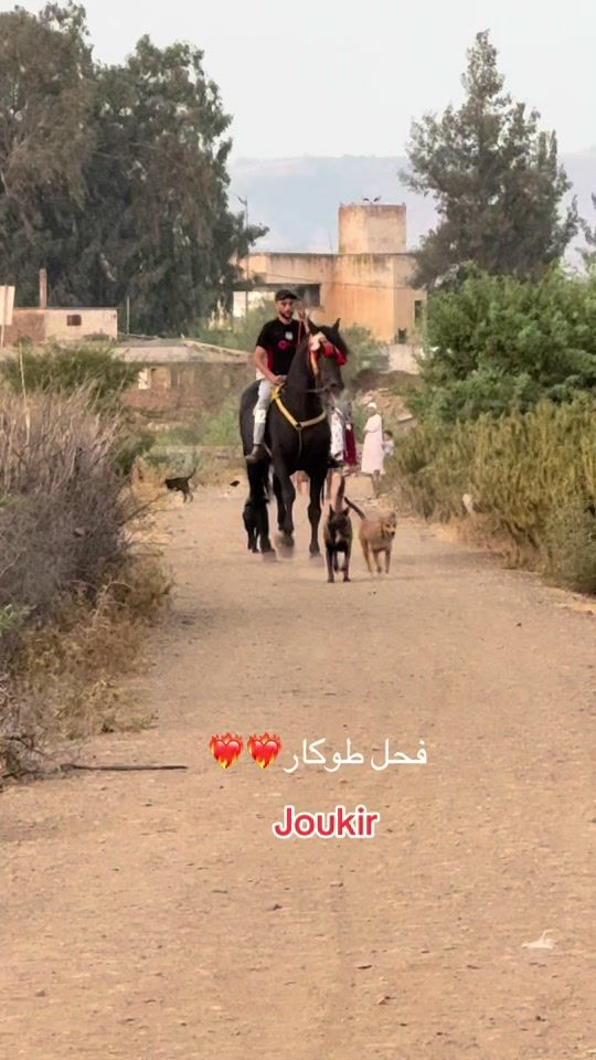 TikTok video thumbnail by ayoub.chemrah8