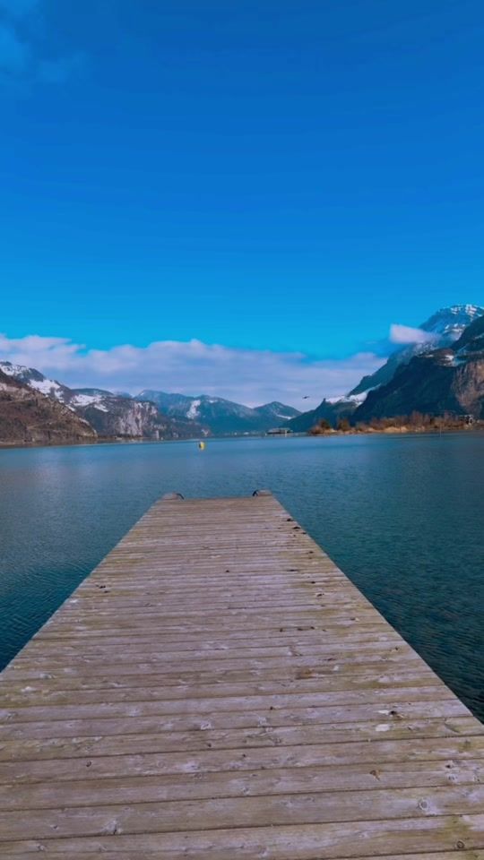 TikTok video thumbnail by jennyzechner1